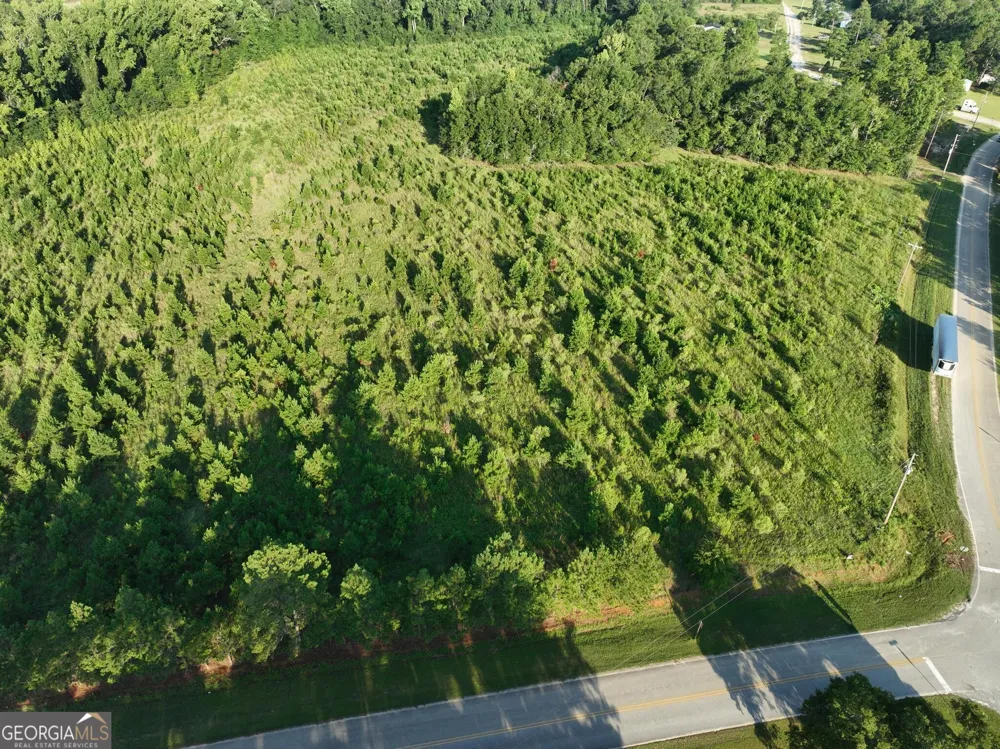 0 Ben Grady Collins RD Portal, GA 30450