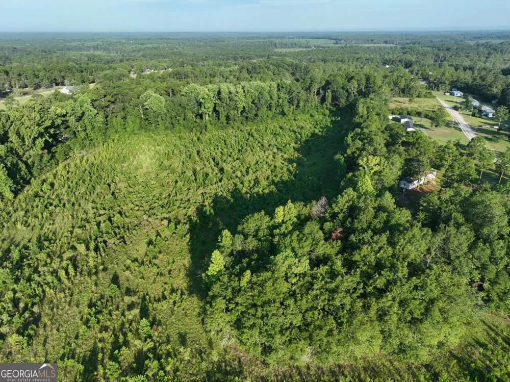 0 Ben Grady Collins RD Portal, GA 30450