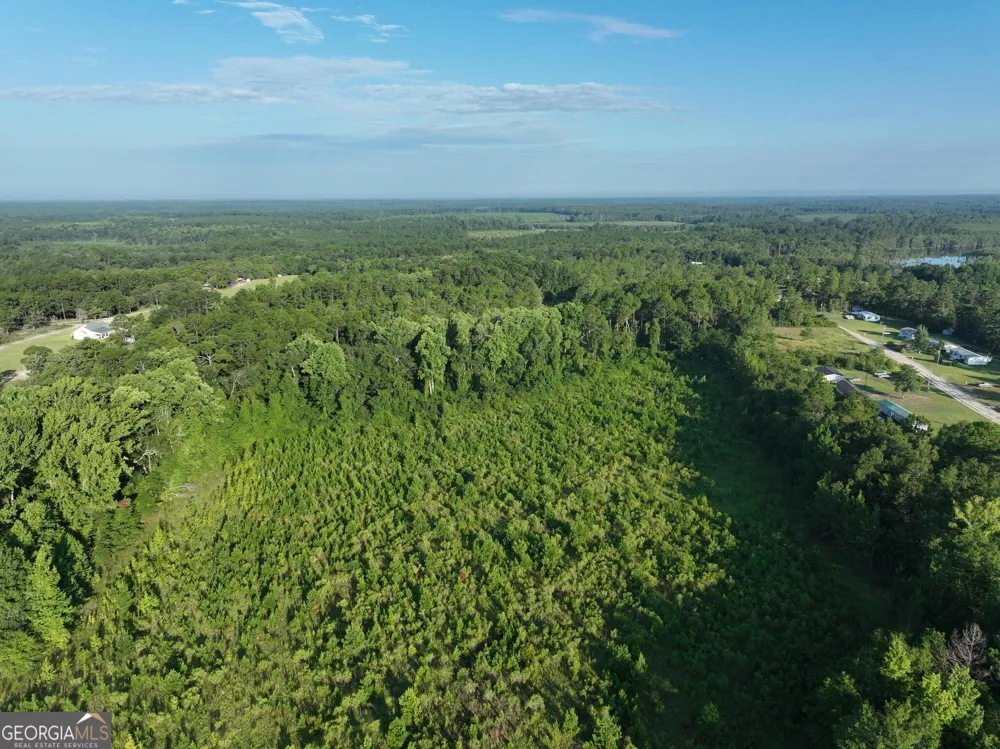 0 Ben Grady Collins RD Portal, GA 30450