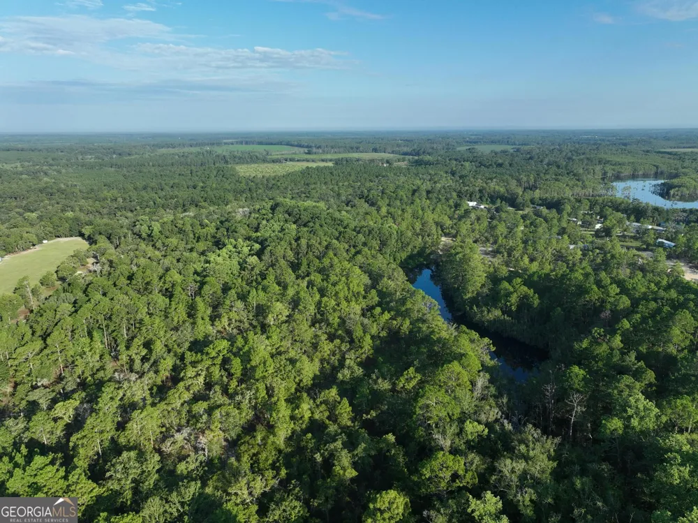 0 Ben Grady Collins RD Portal, GA 30450