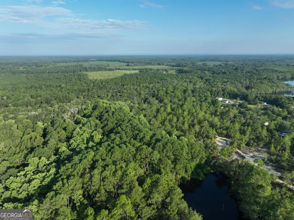 0 Ben Grady Collins RD Portal, GA 30450