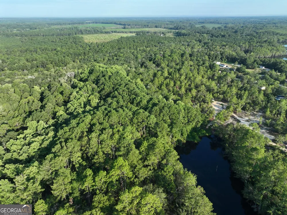 0 Ben Grady Collins RD Portal, GA 30450