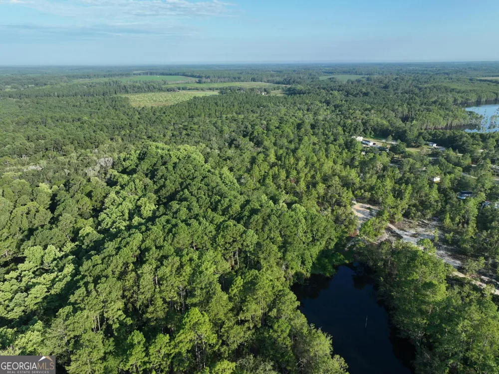 0 Ben Grady Collins RD Portal, GA 30450