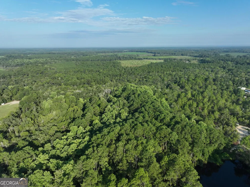 0 Ben Grady Collins RD Portal, GA 30450