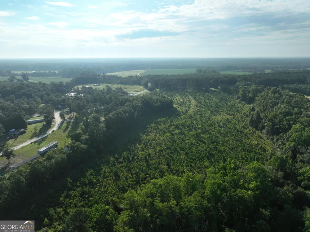 0 Ben Grady Collins RD Portal, GA 30450