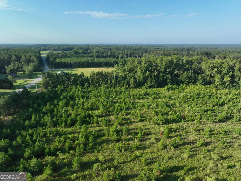 0 Ben Grady Collins RD Portal, GA 30450