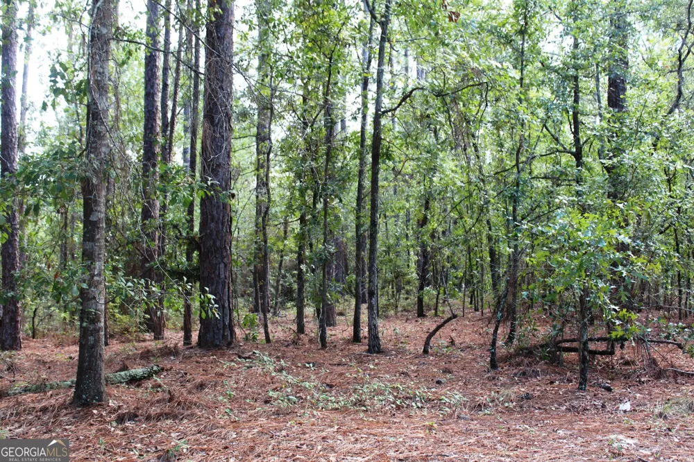 0 Ben Grady Collins RD Portal, GA 30450