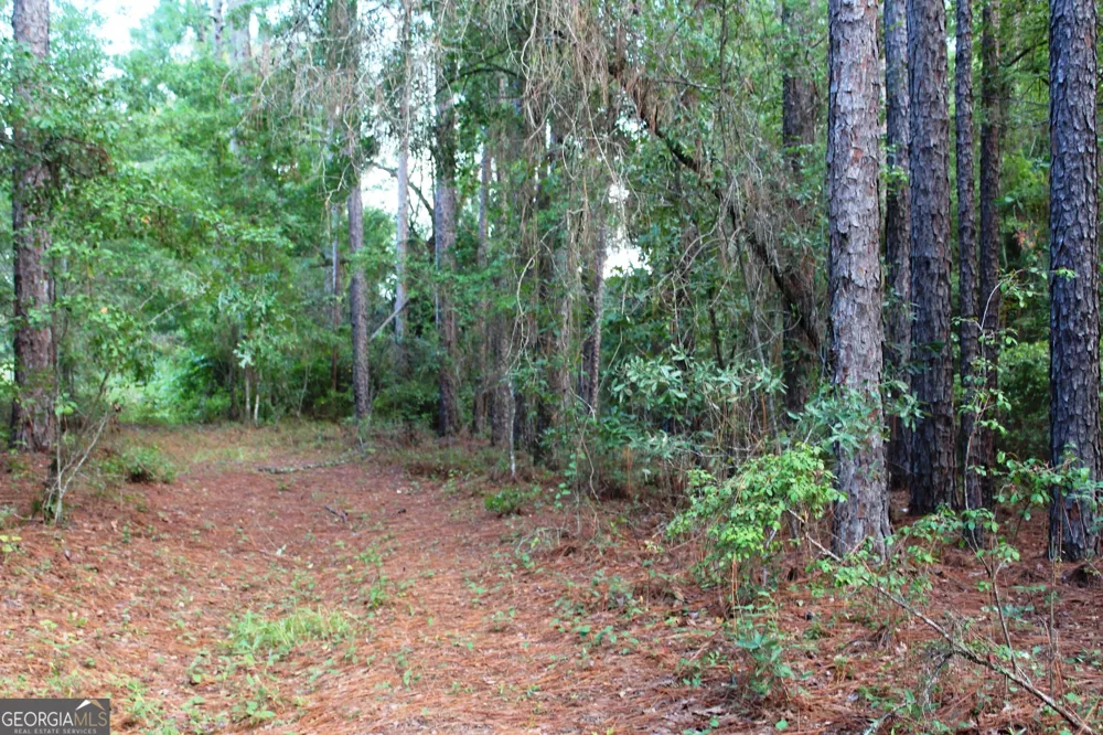0 Ben Grady Collins RD Portal, GA 30450