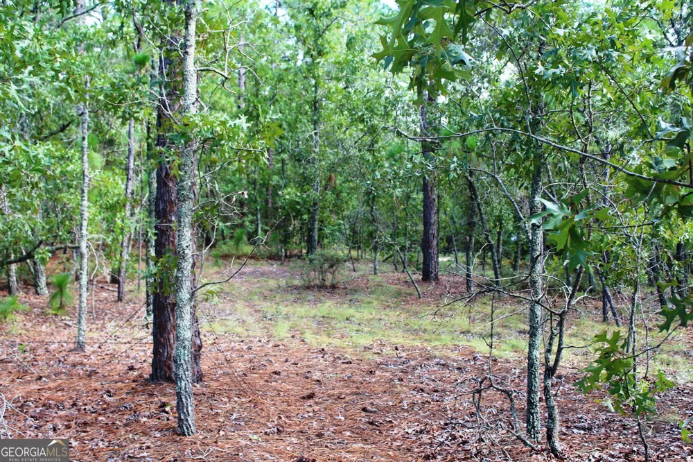 0 Ben Grady Collins RD Portal, GA 30450