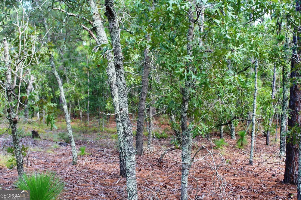 0 Ben Grady Collins RD Portal, GA 30450