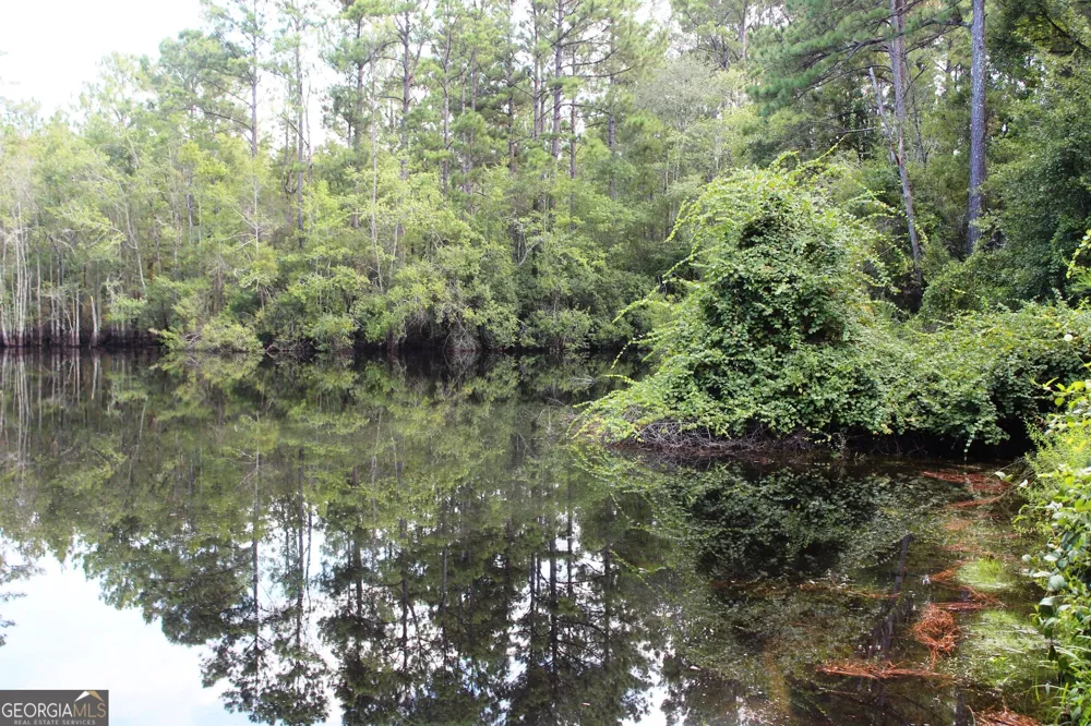 0 Ben Grady Collins RD Portal, GA 30450