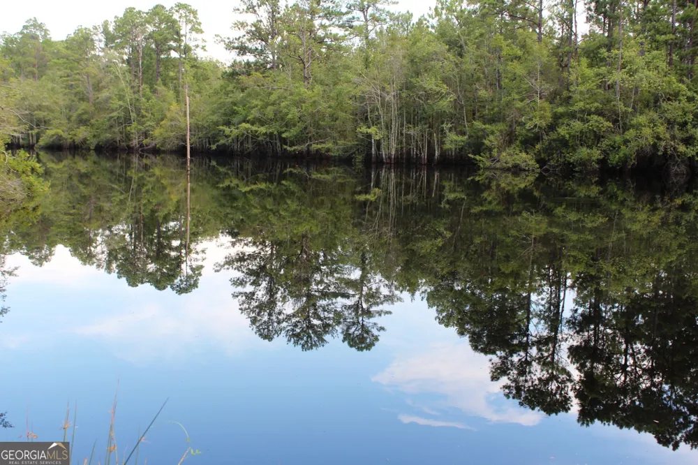 0 Ben Grady Collins RD Portal, GA 30450