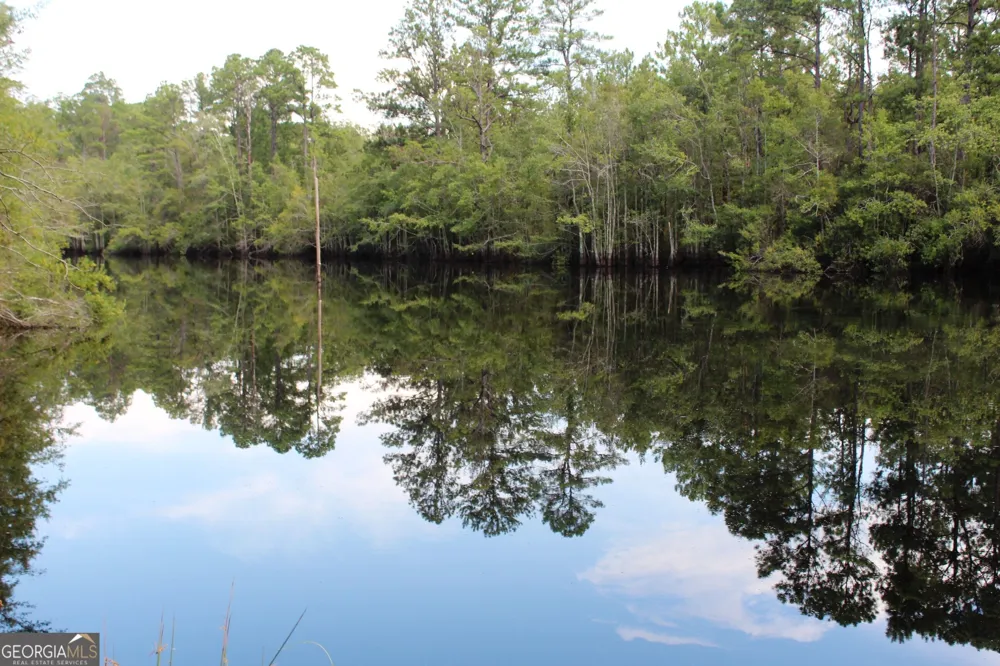 0 Ben Grady Collins RD Portal, GA 30450