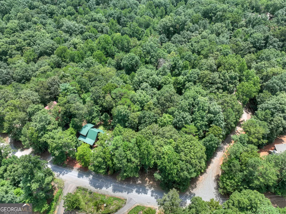 612 Medina CT Ellijay, GA 30540