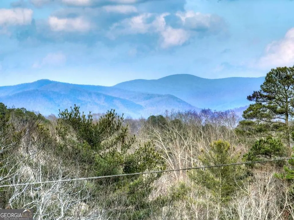 171 Mohawk TRL Ellijay, GA 30540