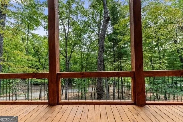 1360 Black Ankle Creek RD Blue Ridge, GA 30513
