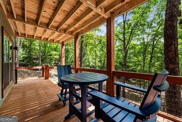 1360 Black Ankle Creek RD Blue Ridge, GA 30513