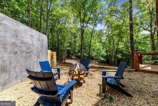 1360 Black Ankle Creek RD Blue Ridge, GA 30513