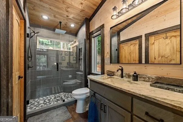 1360 Black Ankle Creek RD Blue Ridge, GA 30513