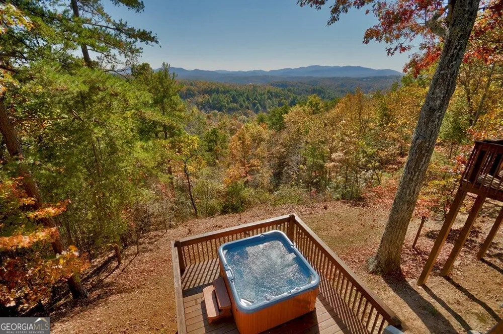 1360 Black Ankle Creek RD Blue Ridge, GA 30513
