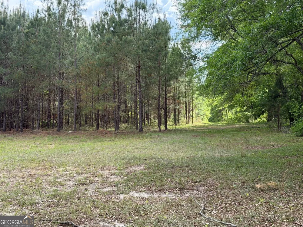 0 Roddy HWY Eastman, GA 31023