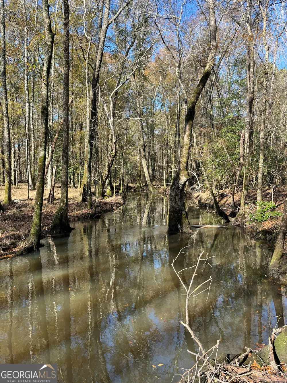 0 Roddy HWY Eastman, GA 31023