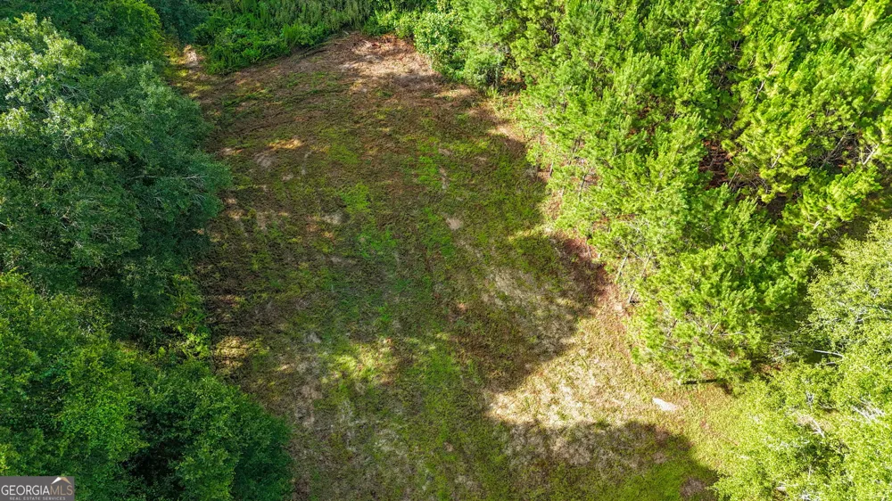 0 Roddy HWY Eastman, GA 31023