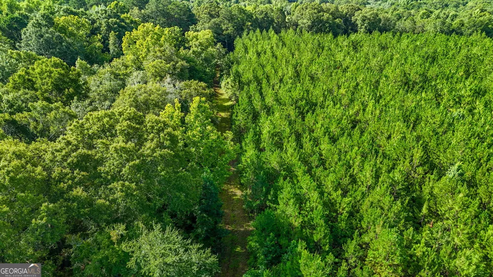 0 Roddy HWY Eastman, GA 31023