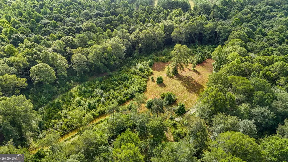 0 Roddy HWY Eastman, GA 31023
