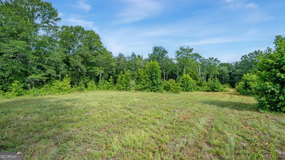 0 Roddy HWY Eastman, GA 31023