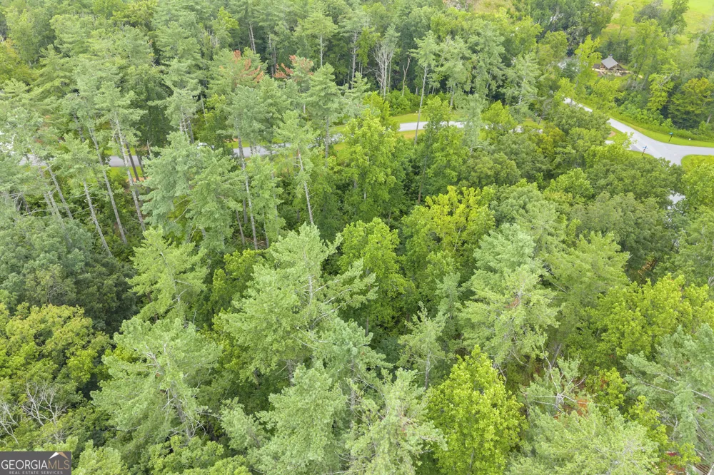 LOT 73 Leisure Mountain TRL Sautee Nacoochee, GA 30571