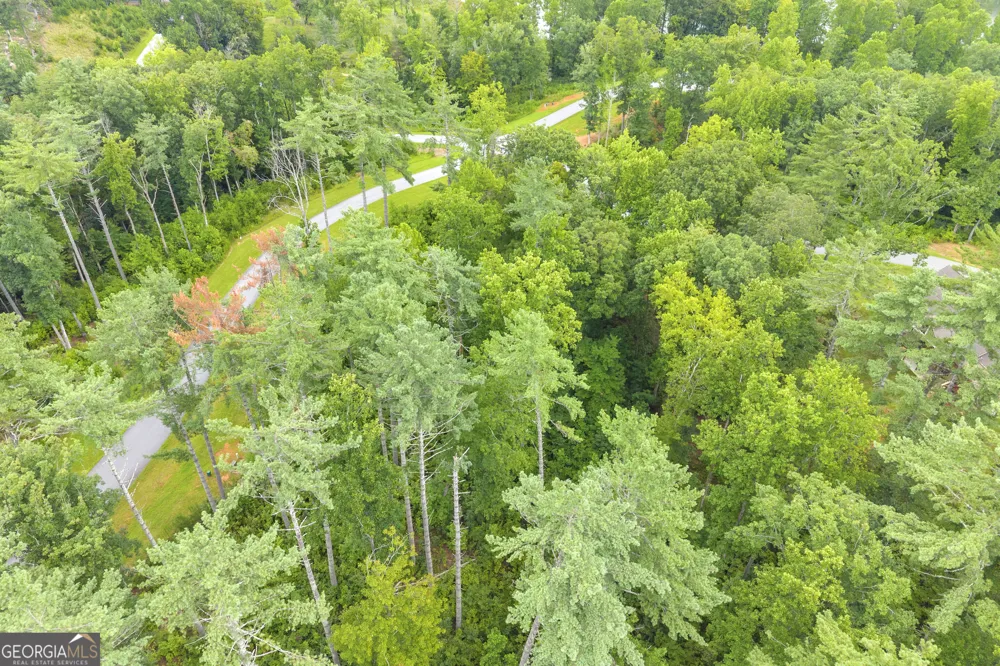 LOT 73 Leisure Mountain TRL Sautee Nacoochee, GA 30571