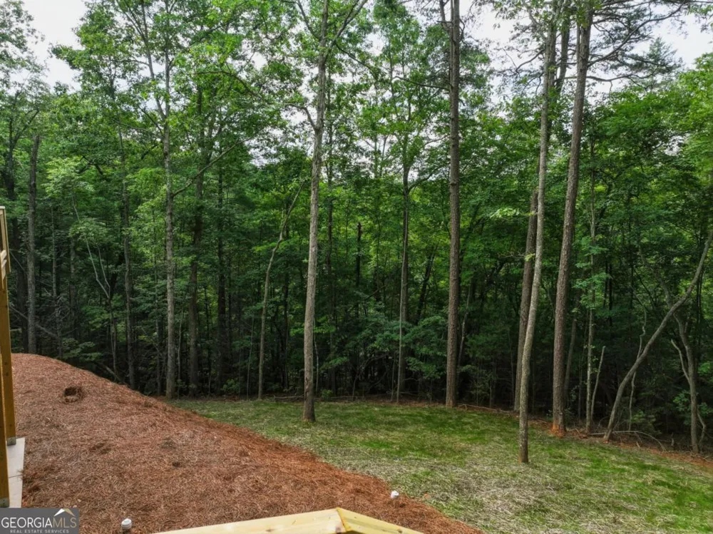 257 Gallery CT Ellijay, GA 30540