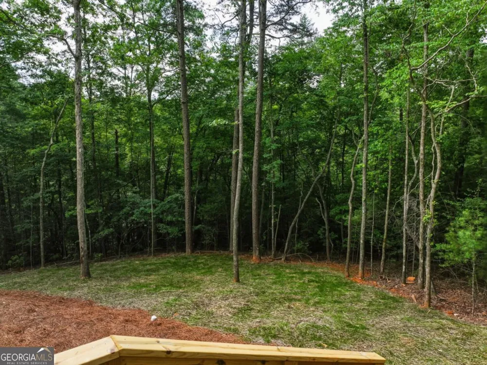 257 Gallery CT Ellijay, GA 30540