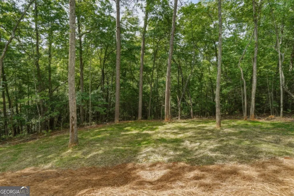 257 Gallery CT Ellijay, GA 30540