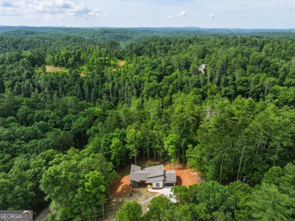 257 Gallery CT Ellijay, GA 30540