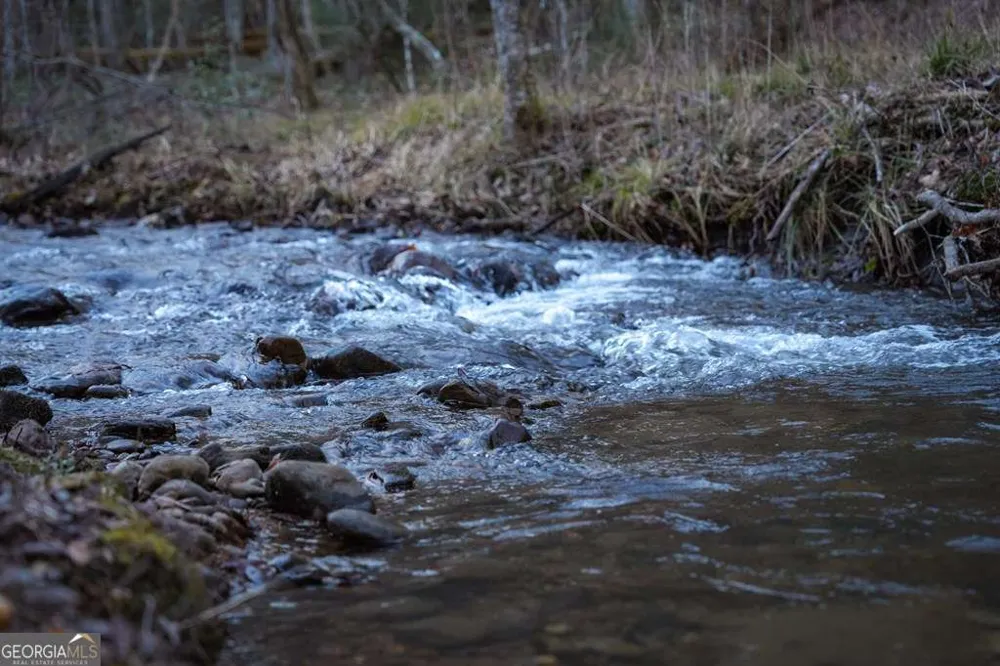 490 Red Wolf RUN Franklin, NC 28734
