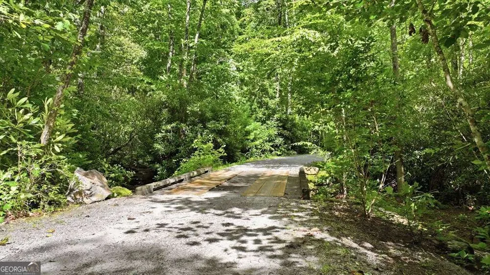 490 Red Wolf RUN Franklin, NC 28734