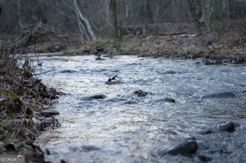 490 Red Wolf RUN Franklin, NC 28734
