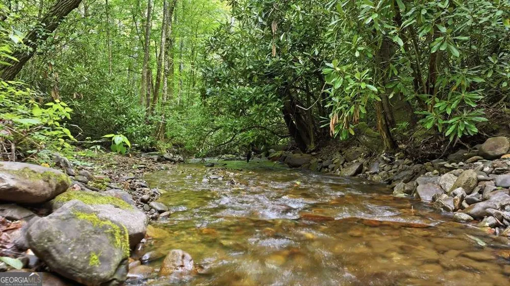490 Red Wolf RUN Franklin, NC 28734