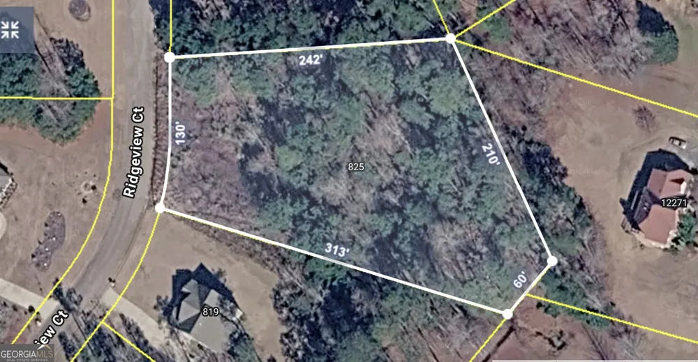 825 Ridgeview CT Hampton, GA 30228
