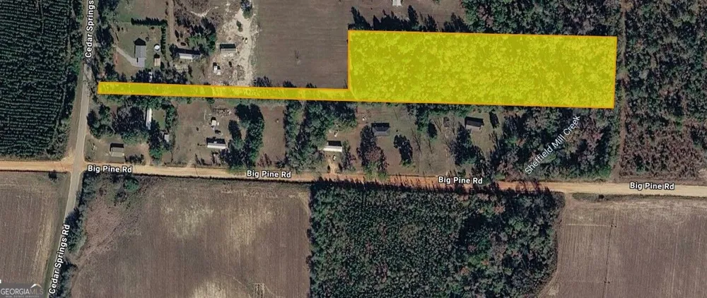 0 Cedar Springs RD Blakely, GA 39823
