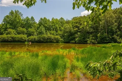 LOT A Porter Springs RD