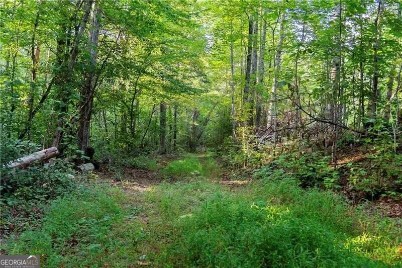 LOT A Porter Springs RD Dahlonega, GA 30533