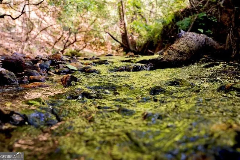 LOT A Porter Springs RD Dahlonega, GA 30533