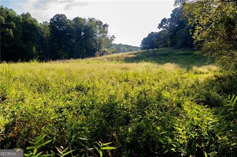 LOT A Porter Springs RD Dahlonega, GA 30533