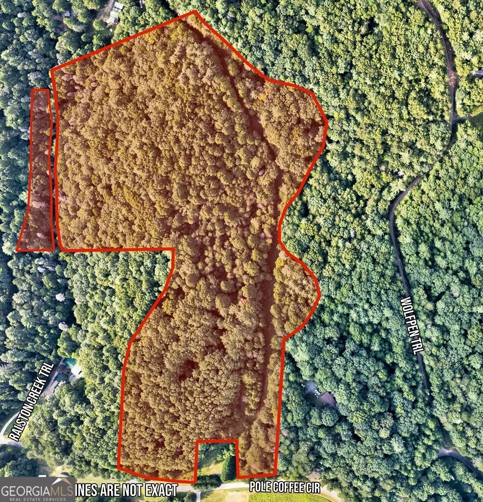 0 Wolf Pen TRL Ellijay, GA 30540