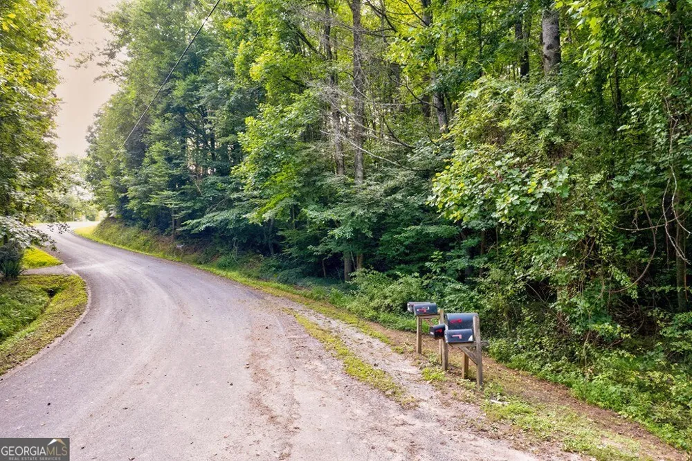 0 Wolf Pen TRL Ellijay, GA 30540