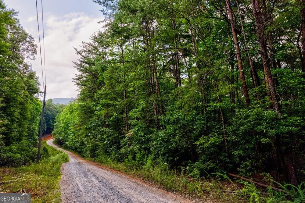 0 Wolf Pen TRL Ellijay, GA 30540