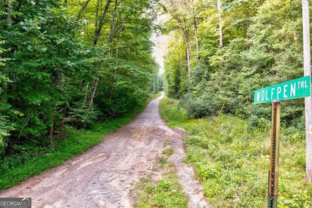 0 Wolf Pen TRL Ellijay, GA 30540